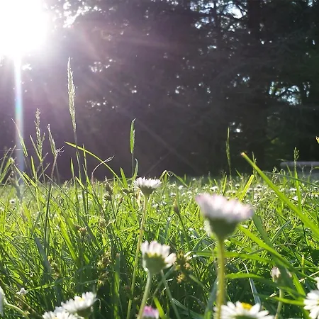 Alloggio per agriturismo Gropella *